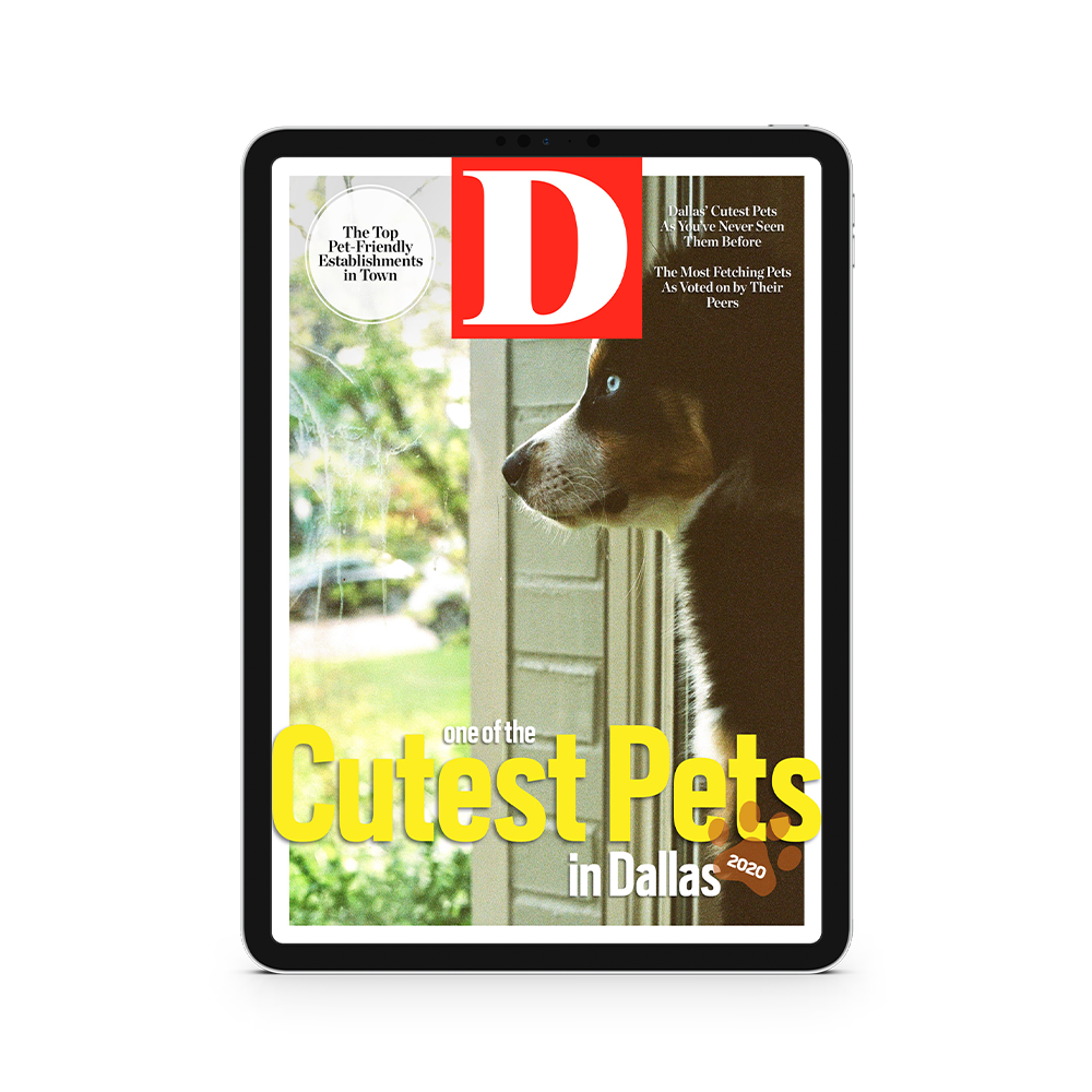 Buy Cutest Pets Digital Cover